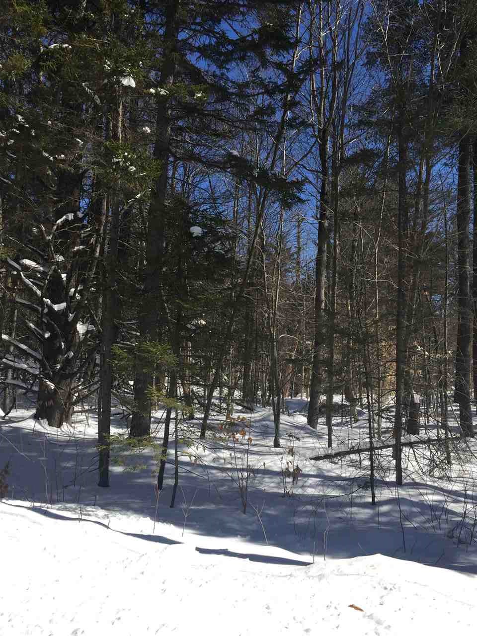 66-69 South Hidden Lake Road Stoddard, NH 03464 - Photo 4 of 7 Gallery Image 4