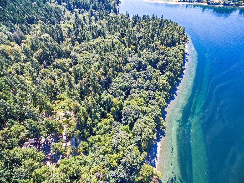 9808 Steffensen Road Anderson Island, WA 98303 - Photo 1 of 19