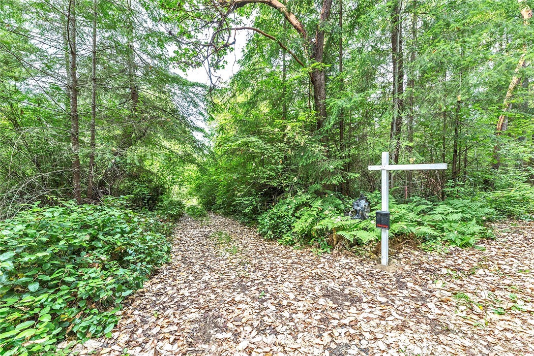 9808 Steffensen Road Anderson Island, WA 98303 - Photo 11 of 19