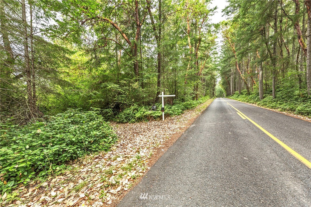 9808 Steffensen Road Anderson Island, WA 98303 - Photo 12 of 19