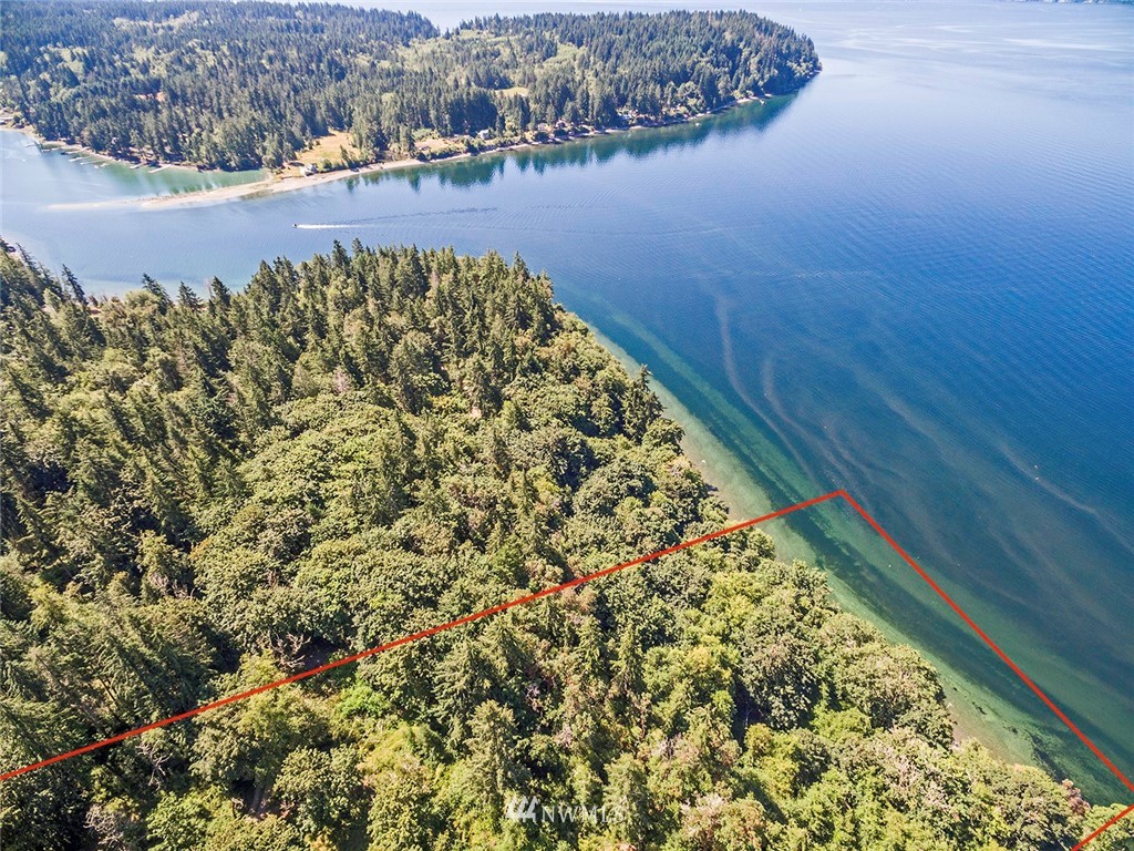 9808 Steffensen Road Anderson Island, WA 98303 - Photo 3 of 19