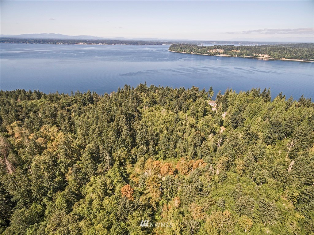 9808 Steffensen Road Anderson Island, WA 98303 - Photo 4 of 19