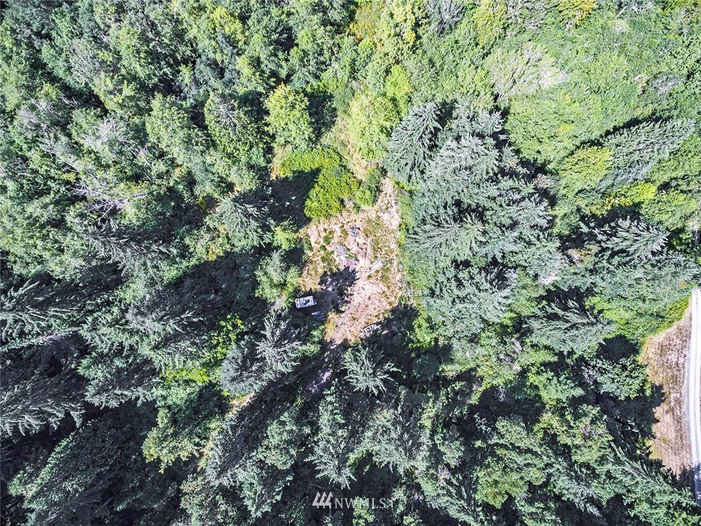 9808 Steffensen Road Anderson Island, WA 98303 - Photo 5 of 19