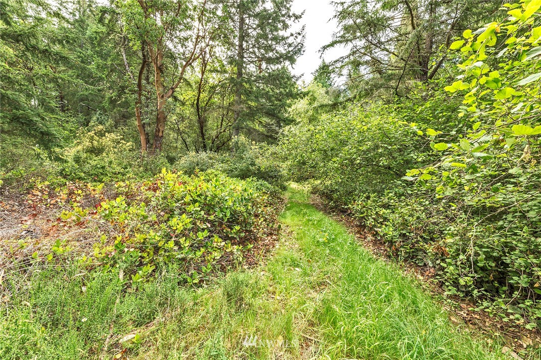 9808 Steffensen Road Anderson Island, WA 98303 - Photo 7 of 19
