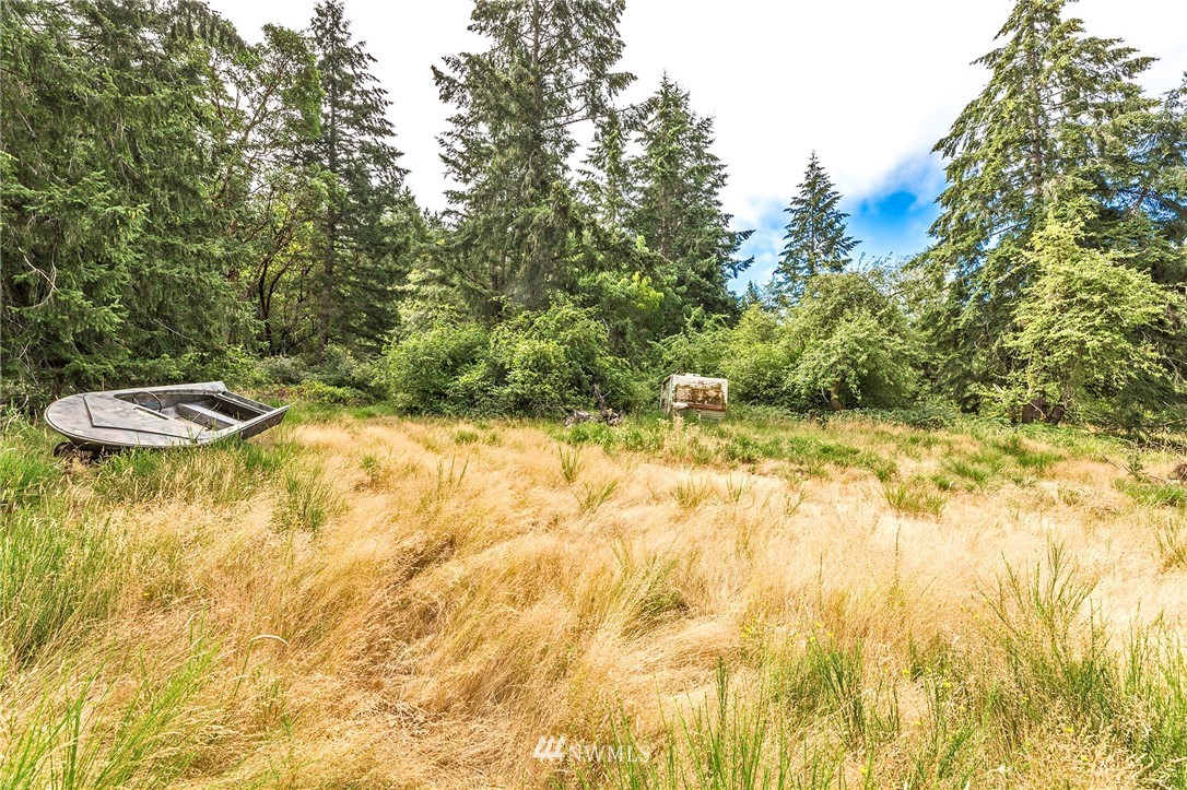 9808 Steffensen Road Anderson Island, WA 98303 - Photo 8 of 19