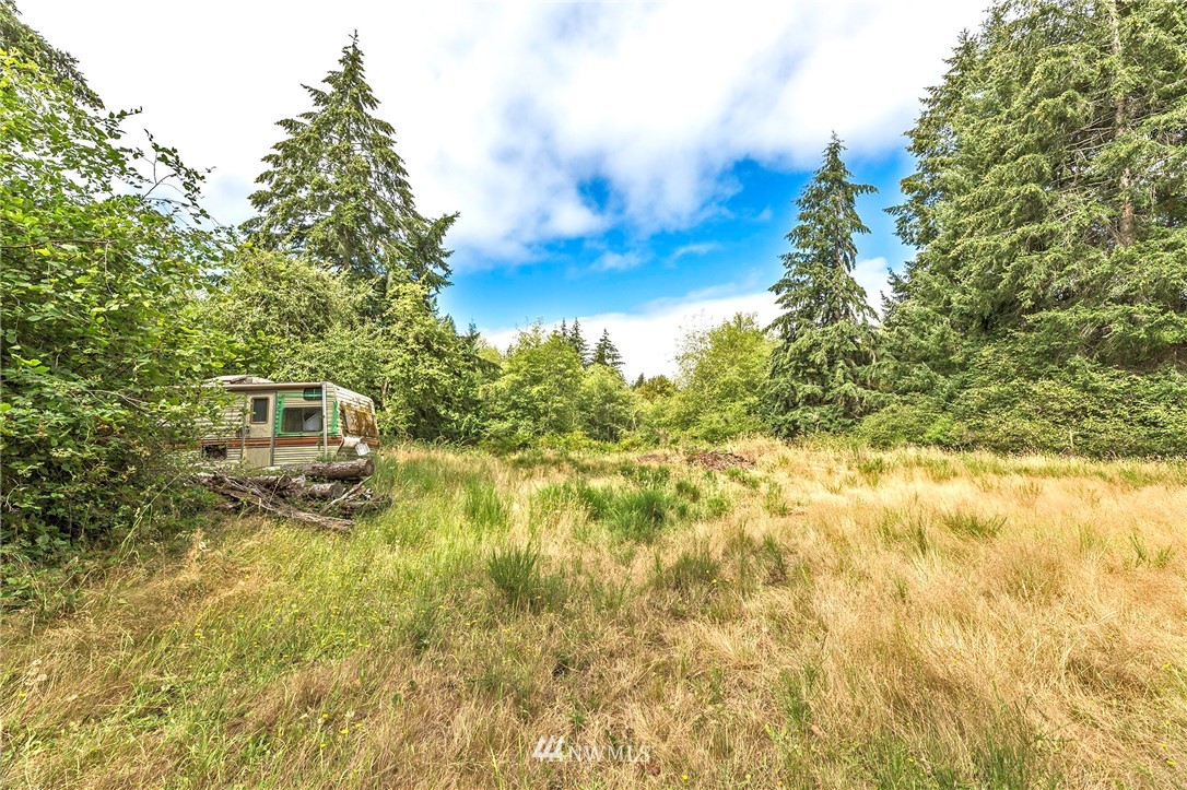 9808 Steffensen Road Anderson Island, WA 98303 - Photo 9 of 19