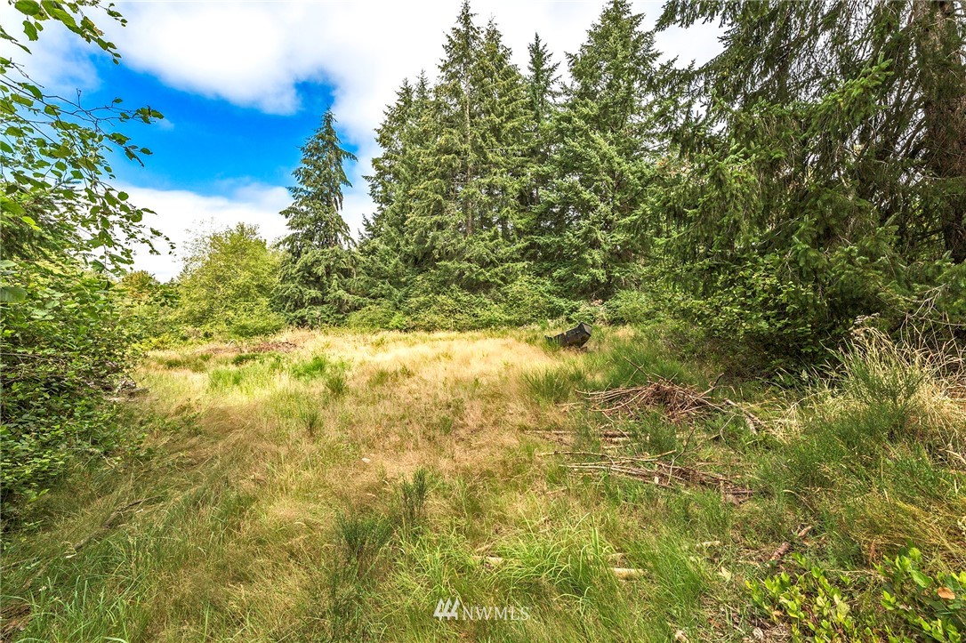 9808 Steffensen Road Anderson Island, WA 98303 - Photo 10 of 19