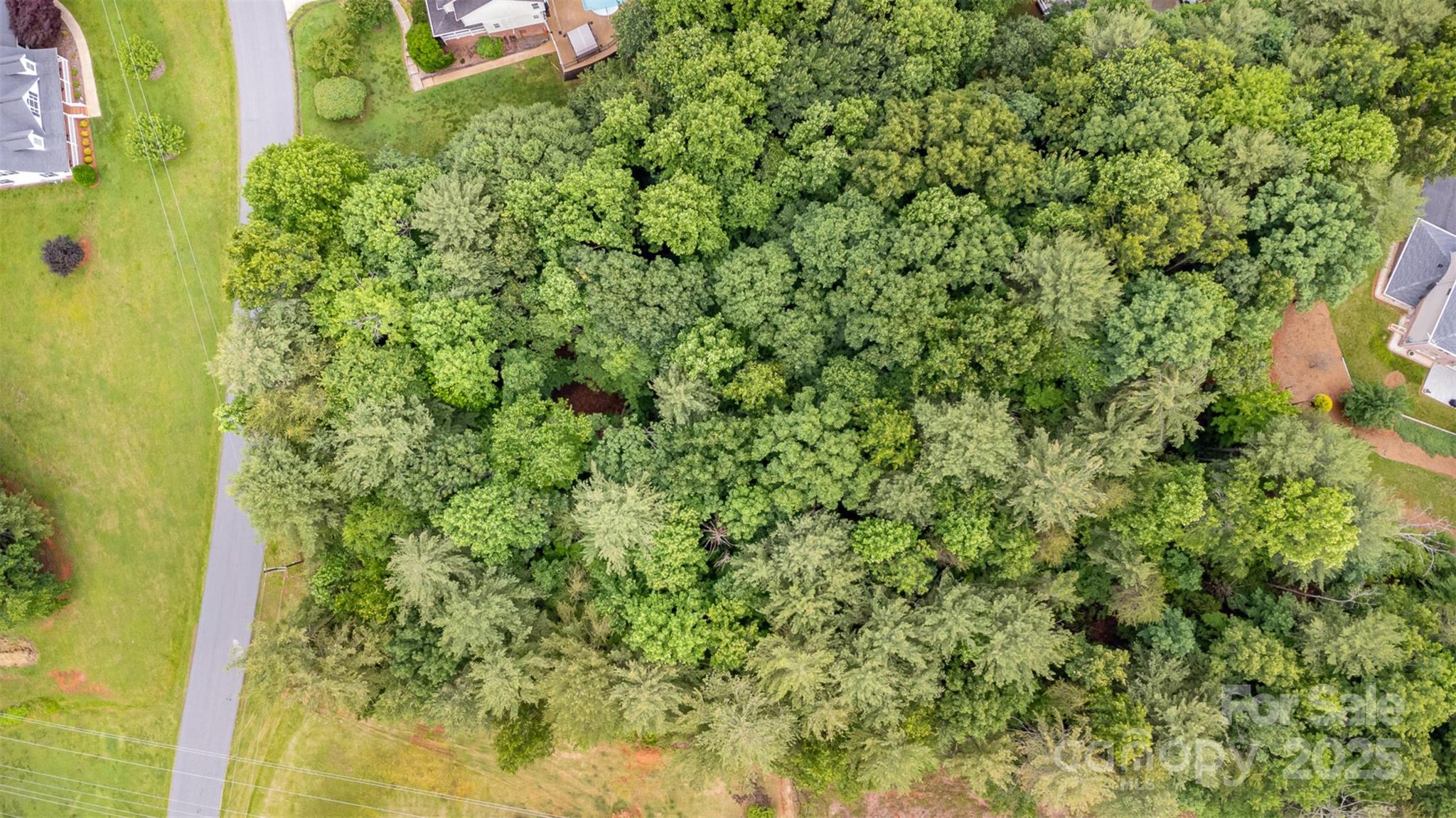 6255 Mountainside Drive Hickory, NC 28601 - Photo 7 of 8 a view of a garden with a plants