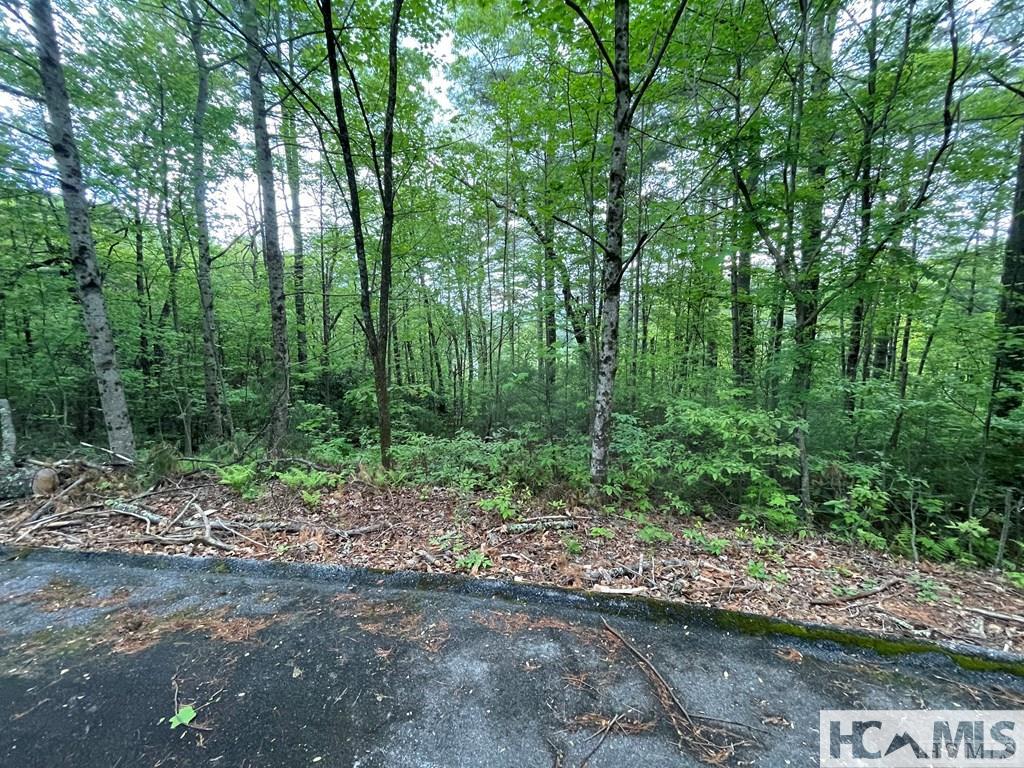 Lot 42-fr Running Fox Road Sapphire, NC 28774 - Photo 8 of 12 Gallery Image 8