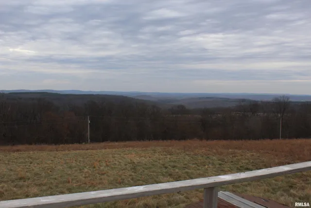 $1,300,000 | 0 Bruce Johnson Road, Herod, IL 62947