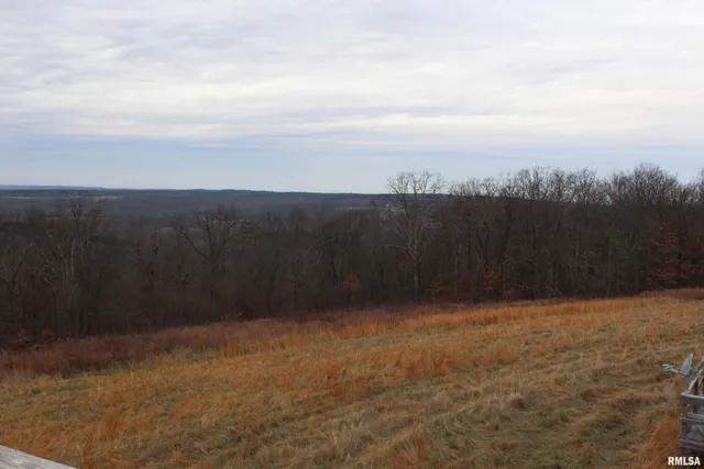 $1,300,000 | 0 Bruce Johnson Road, Herod, IL 62947