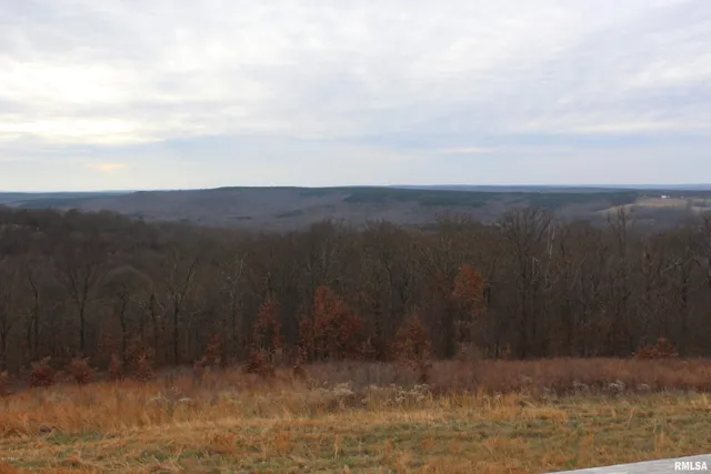 $1,300,000 | 0 Bruce Johnson Road, Herod, IL 62947