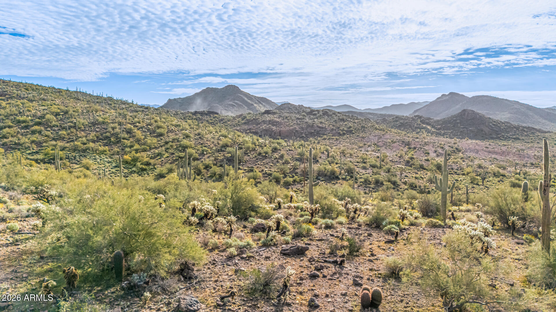 74 East Elephant Butte Road, Unit 5 Gold Canyon, AZ 85118 - Photo 11 of 20 11 - Elephant Butte