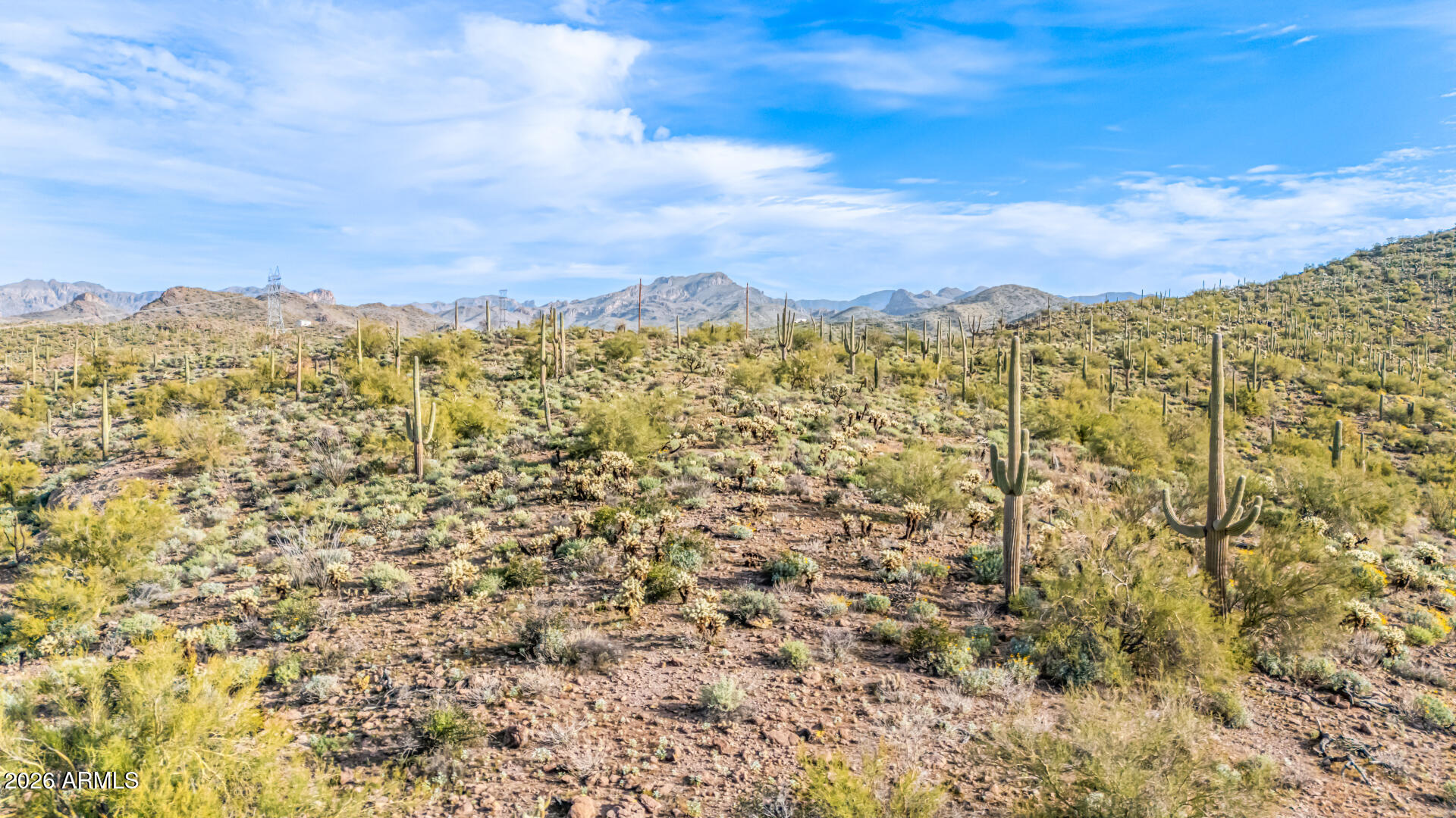 74 East Elephant Butte Road, Unit 5 Gold Canyon, AZ 85118 - Photo 12 of 20 12 - Elephant Butte