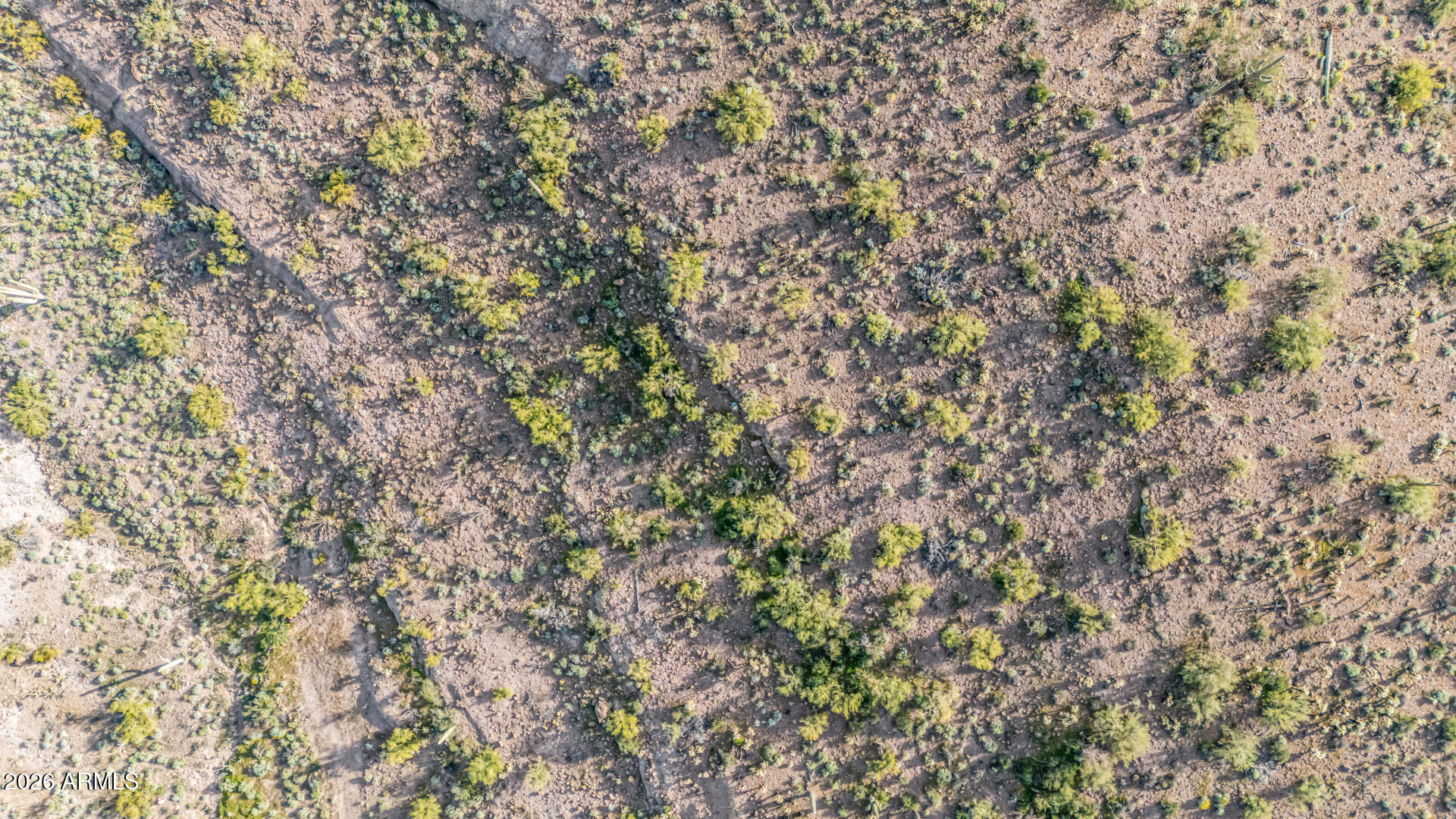 74 East Elephant Butte Road, Unit 5 Gold Canyon, AZ 85118 - Photo 13 of 20 13 - Elephant Butte