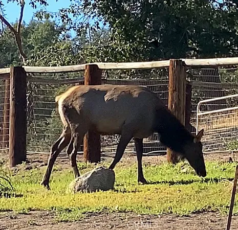 a view of roof deck with chair and wooden floor