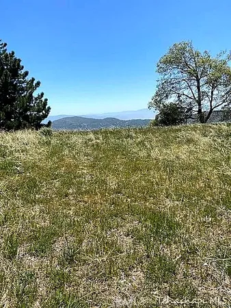 a view of a field with an trees