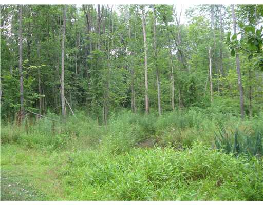 132 McCall Road Butler, PA 16001 - Photo 16 of 18 Land/Lot. Adjoining 1 acre lot has the beginnings of a small pond. much potential.