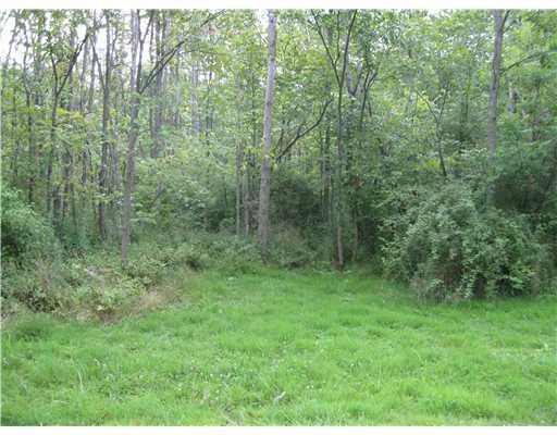 132 McCall Road Butler, PA 16001 - Photo 18 of 18 Land/Lot. Adjoining 1 acre is beautiful and ready for your personal touches.
