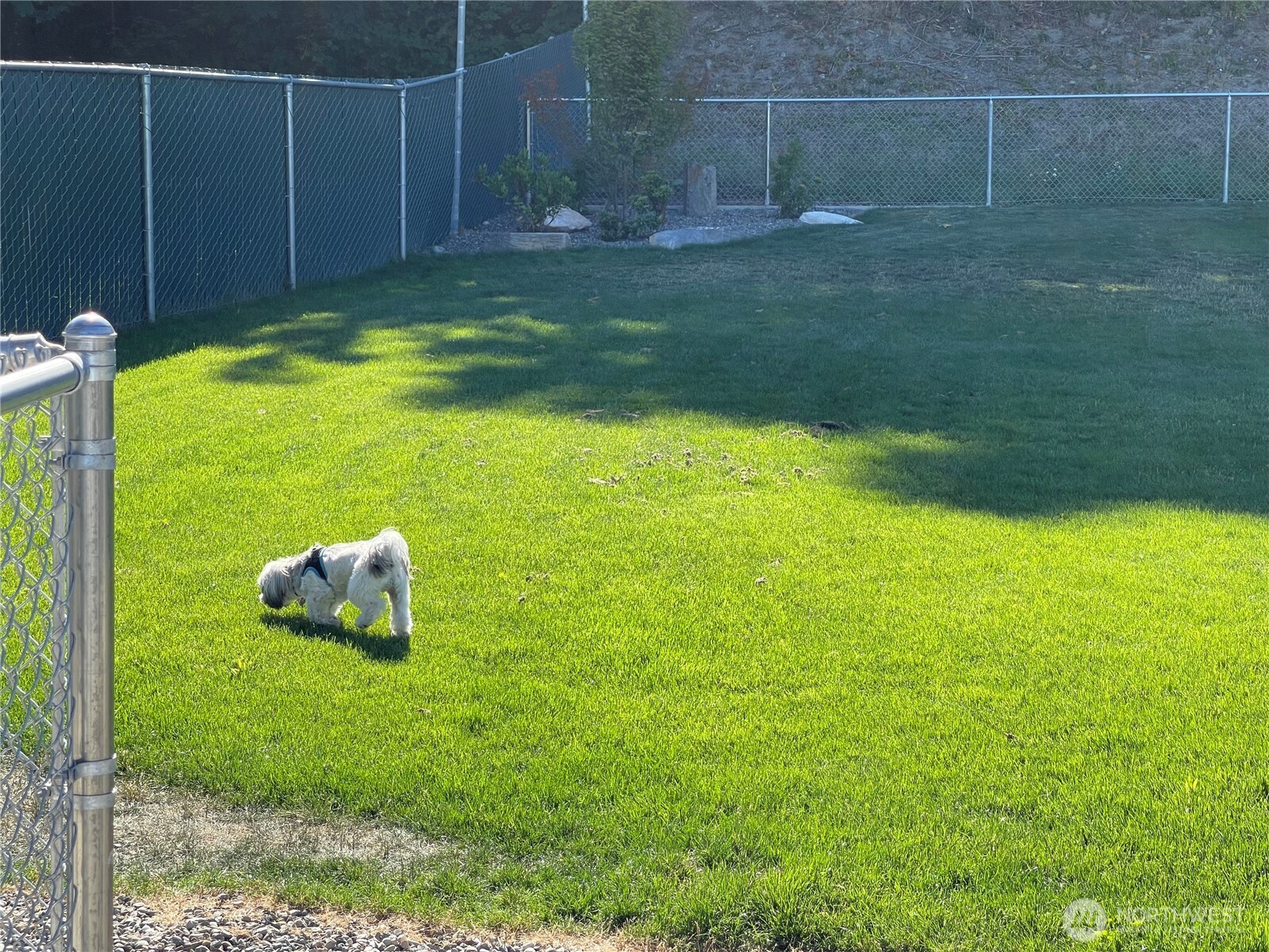 2101 South 324th Street, Unit 21 Federal Way, WA 98003 - Photo 35 of 39 a backyard of a house with lots of green space