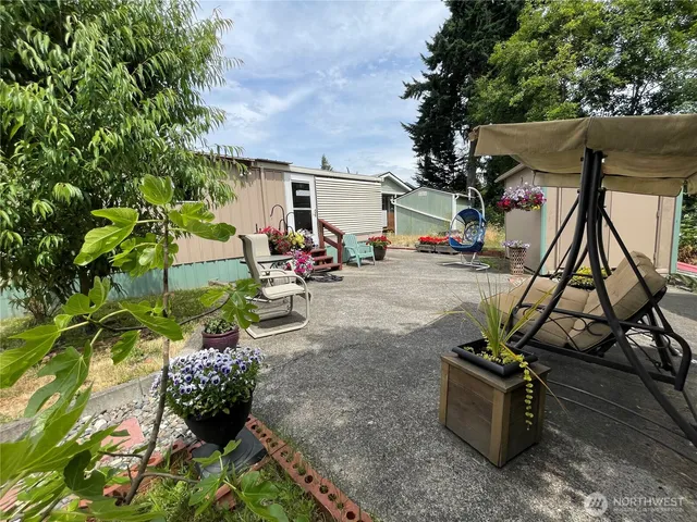 a view of a backyard with chairs and potted plants