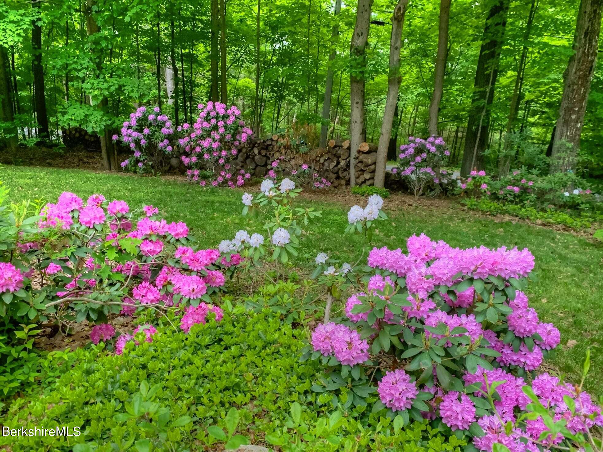 7 Hawthorne Road Stockbridge, MA 01262 - Photo 7 of 41 a view of a flower sitting in the garden of a house