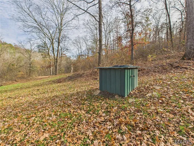 $190,000 | 1179 Wayne 307a, Silva, MO 63964