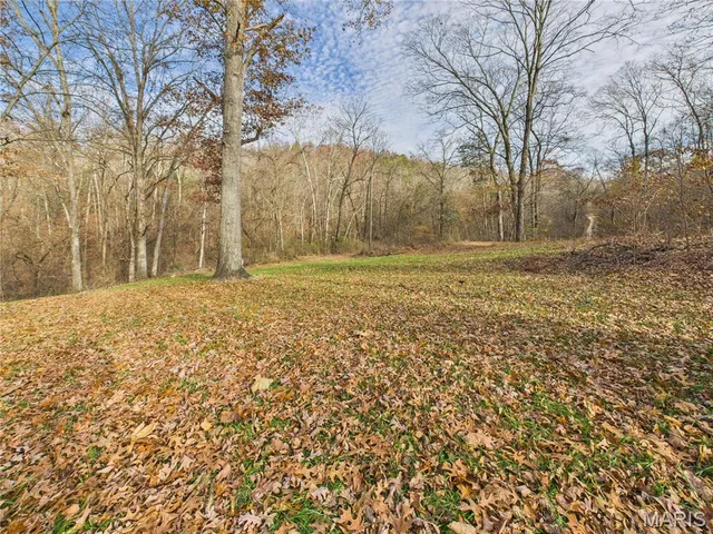 $190,000 | 1179 Wayne 307a, Silva, MO 63964