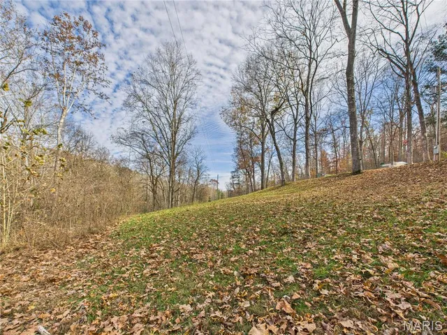 $190,000 | 1179 Wayne 307a, Silva, MO 63964