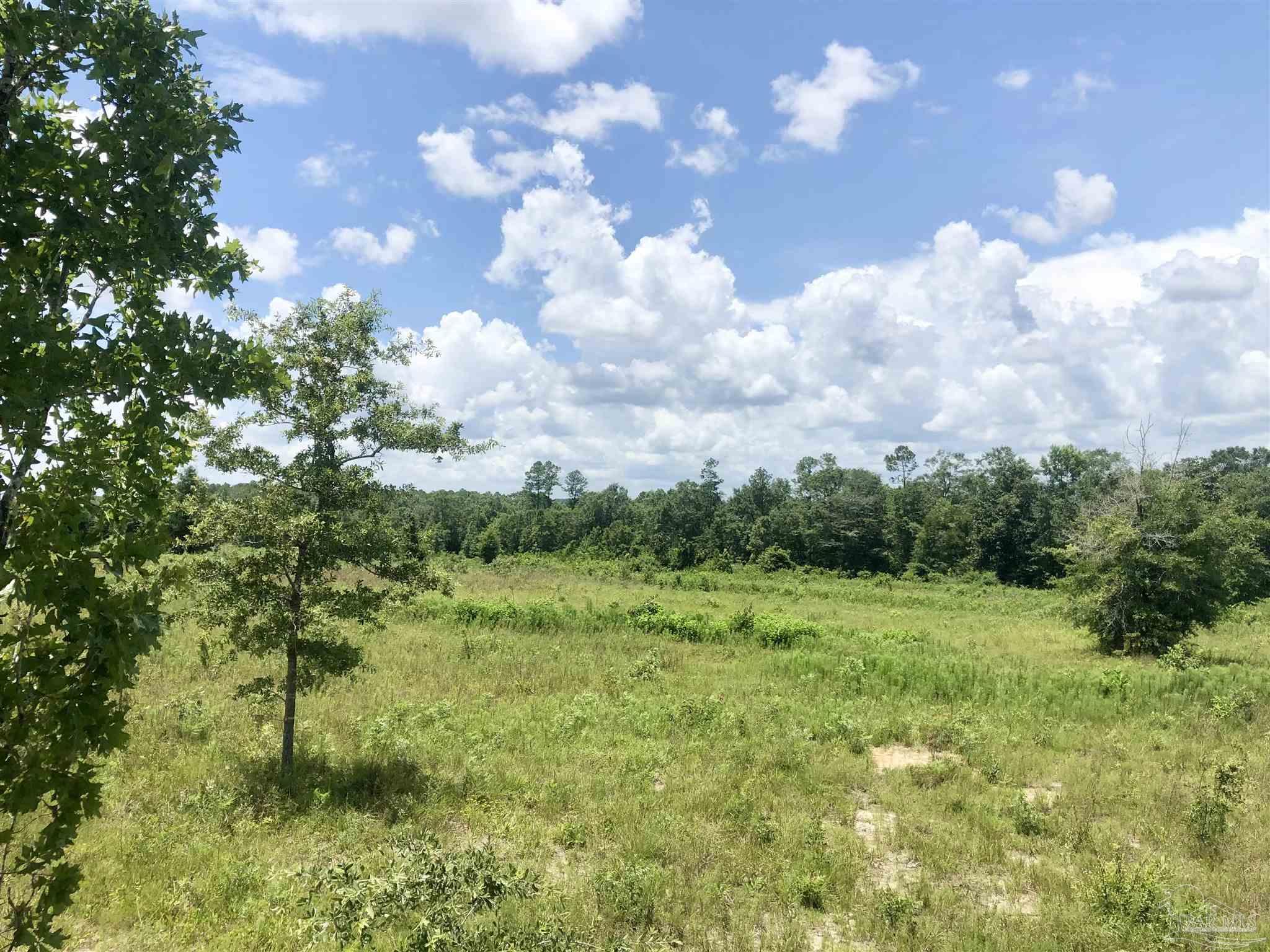 Lot K Tanner Ridge Road Milton, FL 32570 - Photo 11 of 26 Gallery Image 11