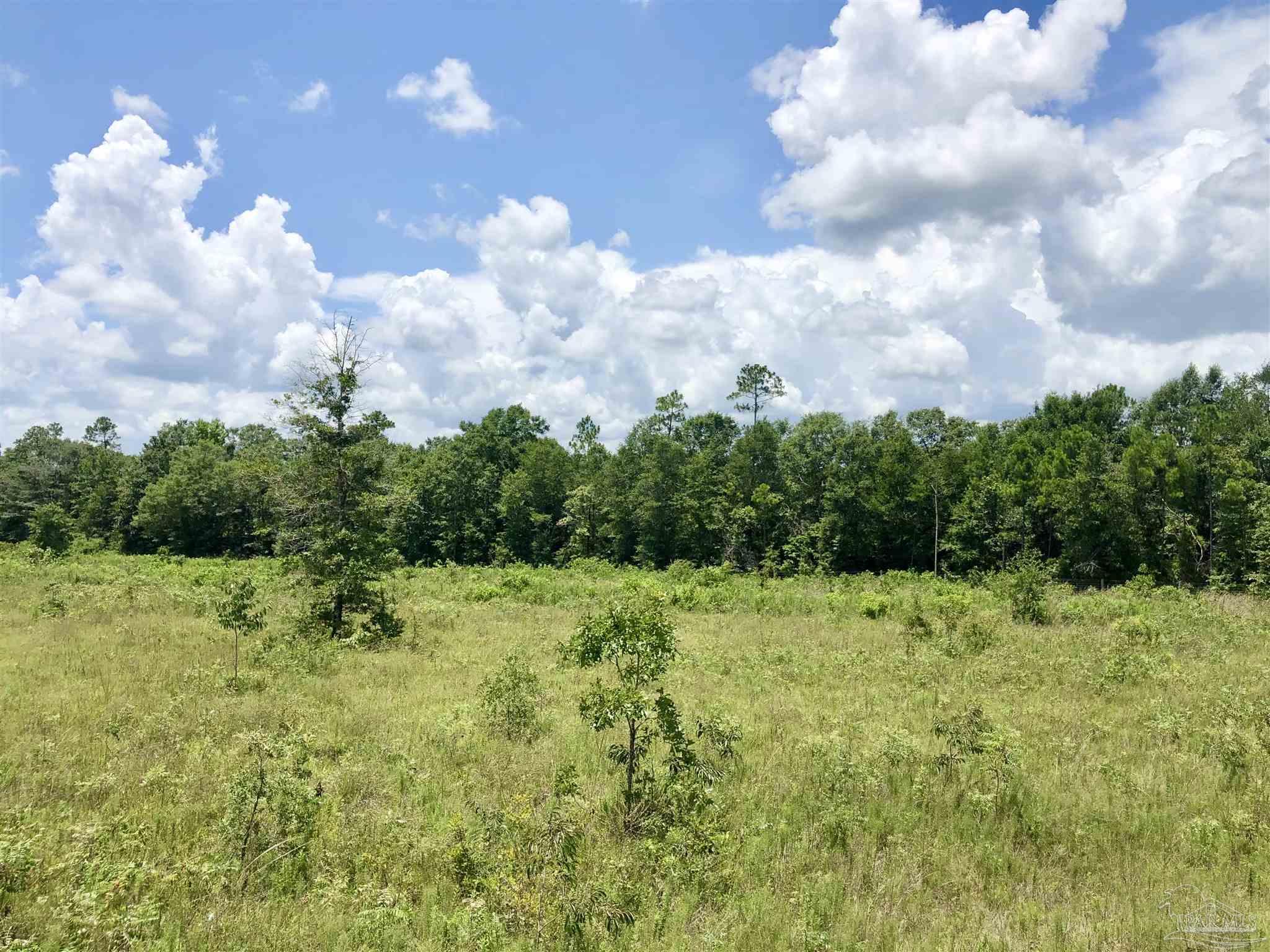Lot K Tanner Ridge Road Milton, FL 32570 - Photo 12 of 26 Gallery Image 12