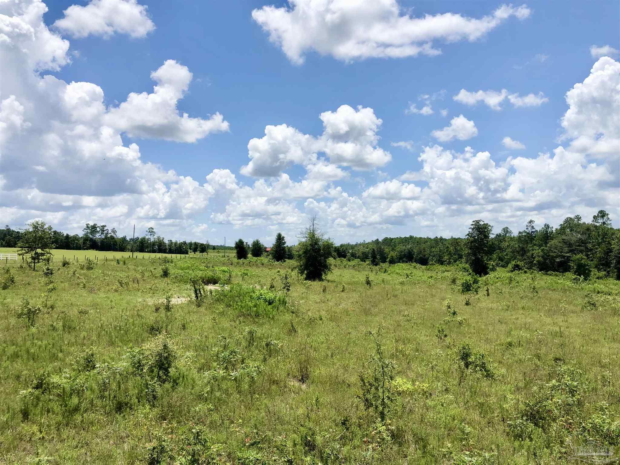 Lot K Tanner Ridge Road Milton, FL 32570 - Photo 13 of 26 Gallery Image 13