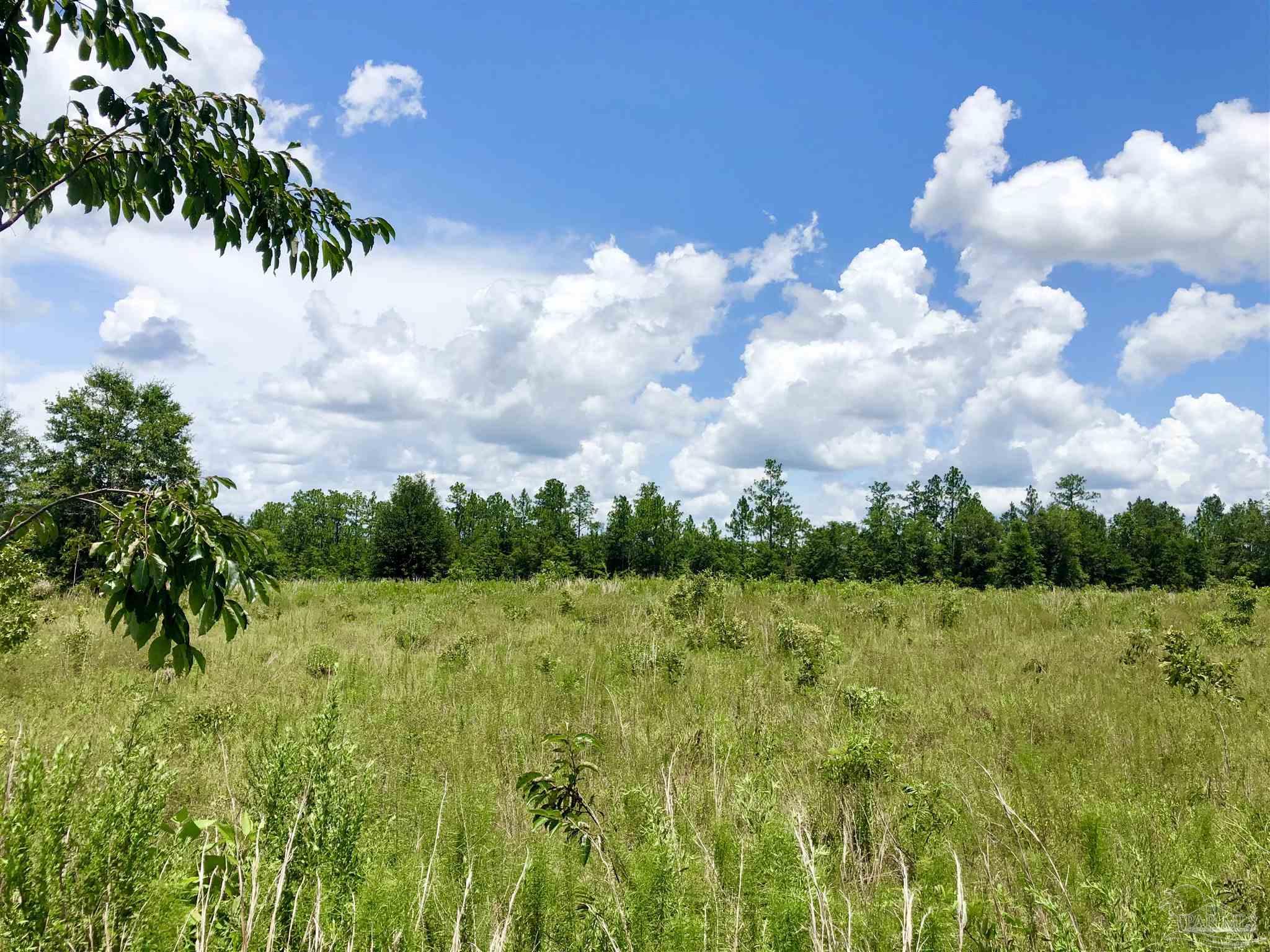 Lot K Tanner Ridge Road Milton, FL 32570 - Photo 14 of 26 Gallery Image 14
