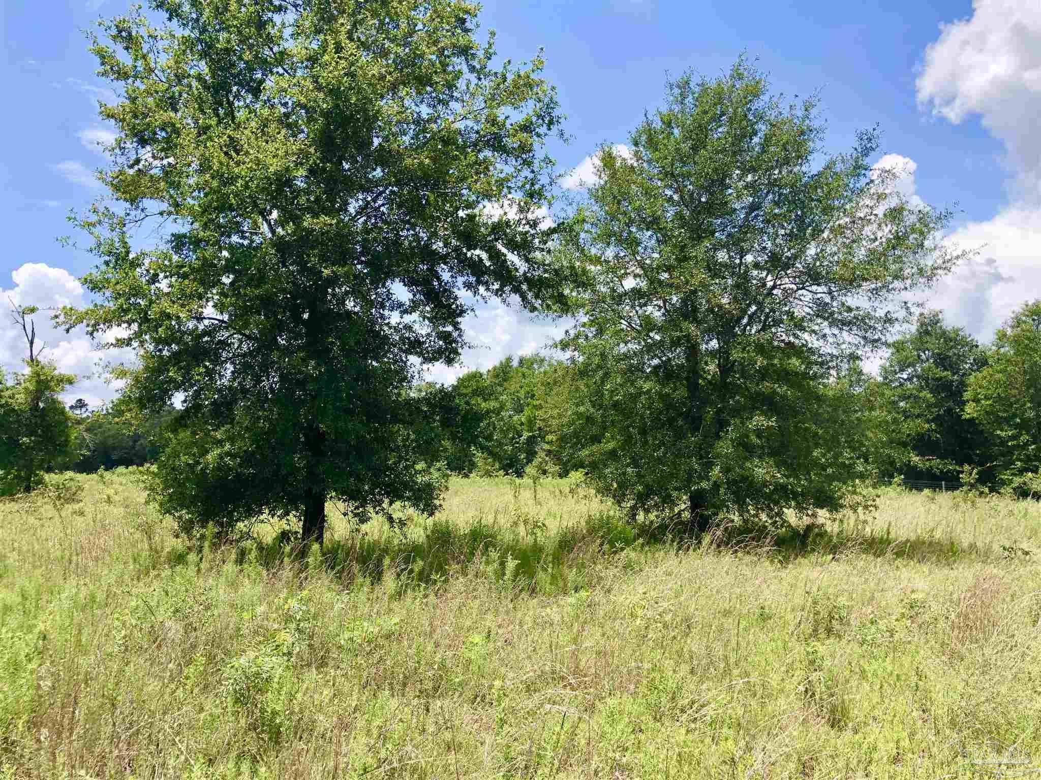 Lot K Tanner Ridge Road Milton, FL 32570 - Photo 15 of 26 Gallery Image 15