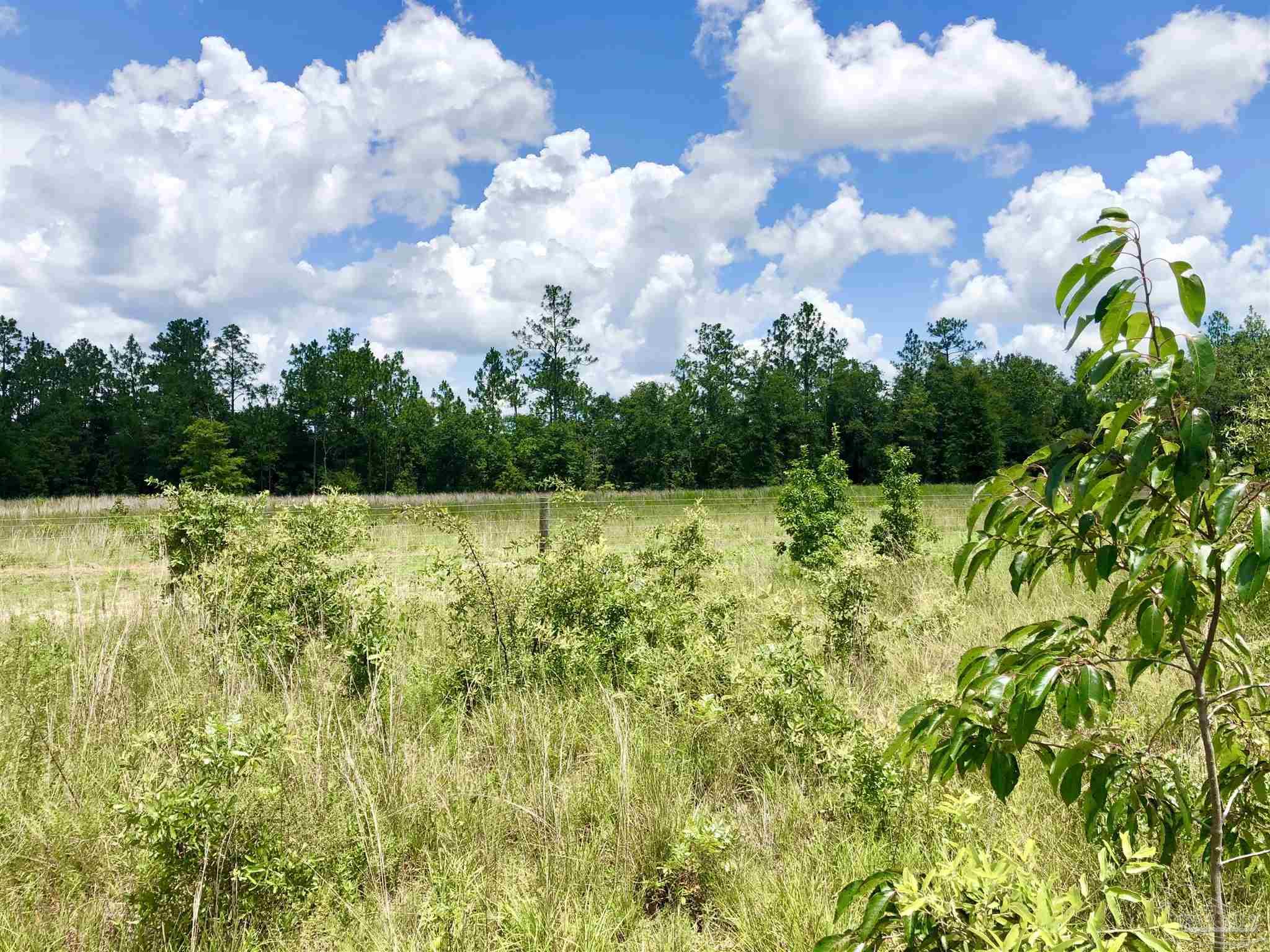 Lot K Tanner Ridge Road Milton, FL 32570 - Photo 16 of 26 Gallery Image 16