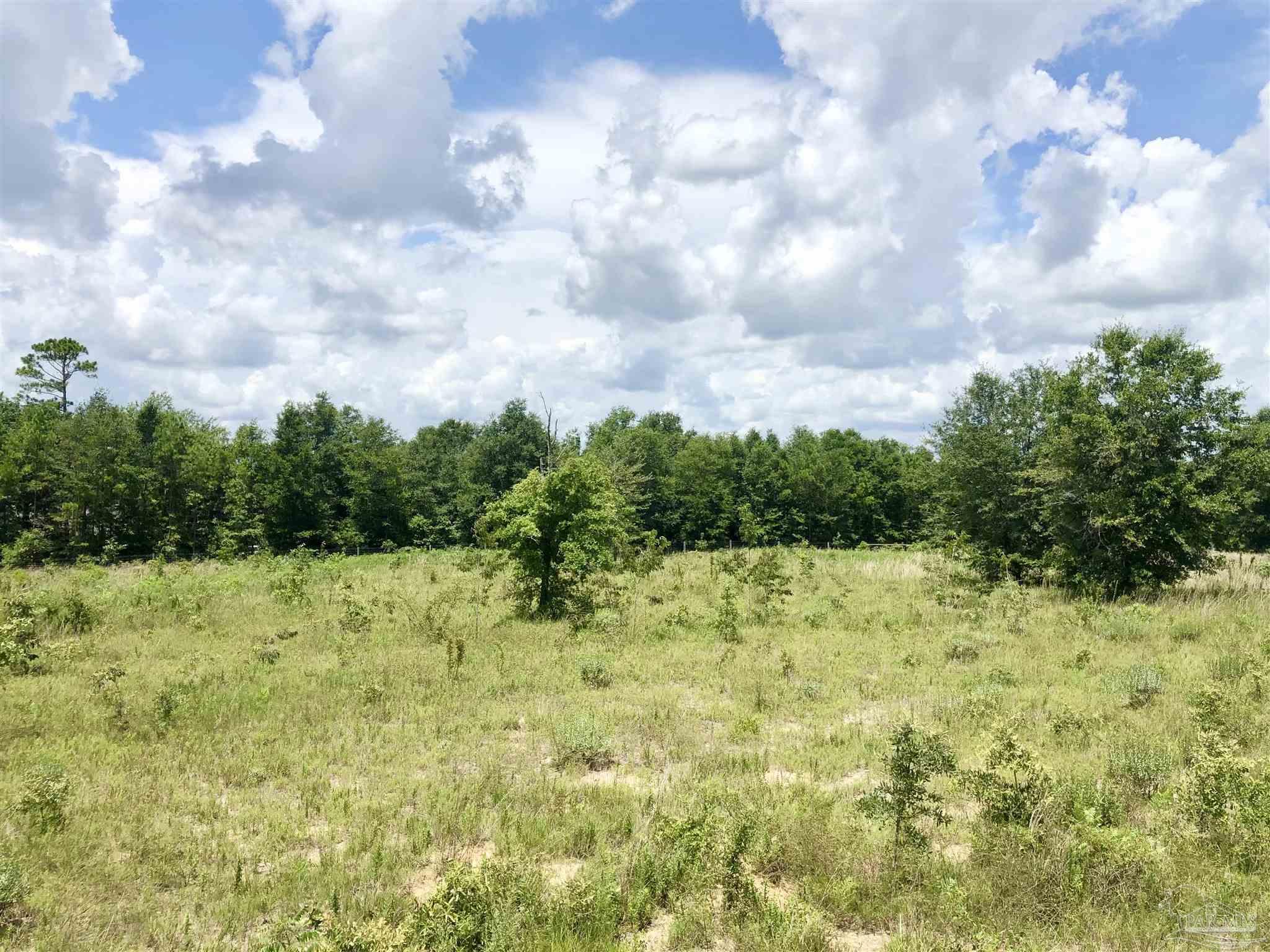 Lot K Tanner Ridge Road Milton, FL 32570 - Photo 17 of 26 Gallery Image 17