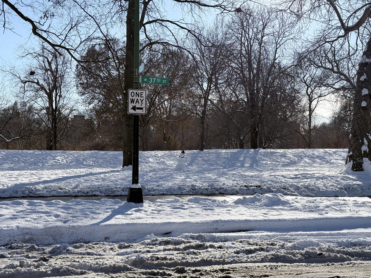 3643 South Hamilton Avenue, Unit 3 Chicago, IL 60609 - Photo 29 of 29 a view of a yard with large tree