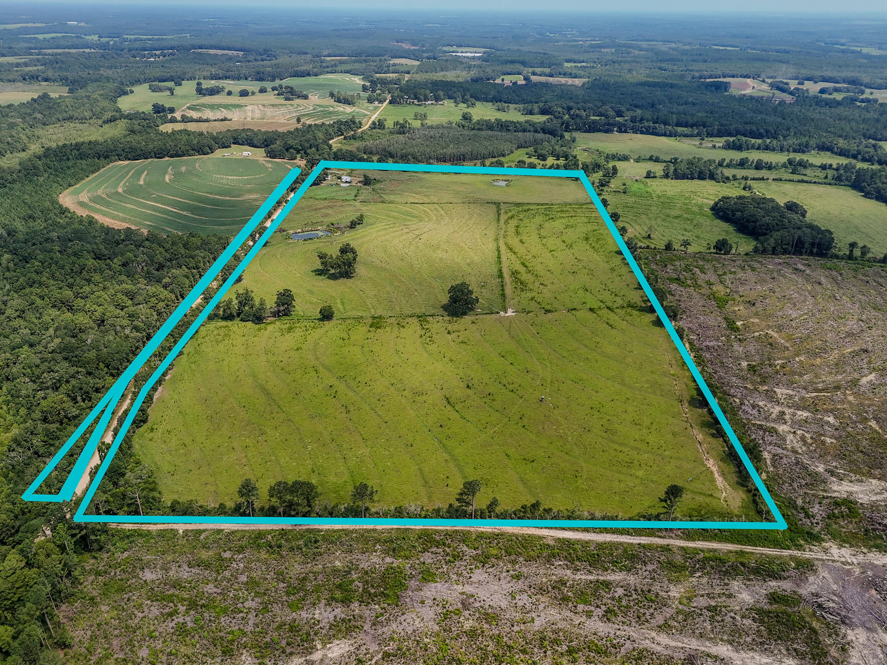 3957 Gopher Ridge Road Samson, AL 36477 - Photo 1 of 25 Gallery Image 1