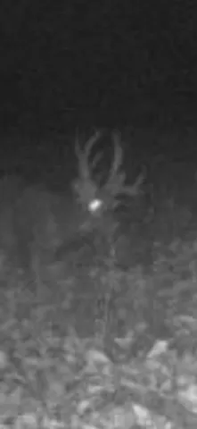 $199,500 | 0 Cr 673 Lawrence Mi 49064, Lawrence, MI 49064