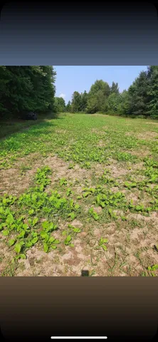 $199,500 | 0 Cr 673 Lawrence Mi 49064, Lawrence, MI 49064