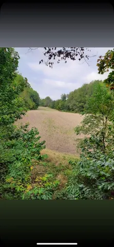 $199,500 | 0 Cr 673 Lawrence Mi 49064, Lawrence, MI 49064