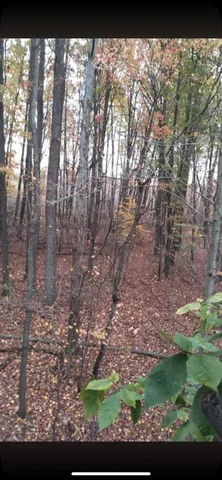 $199,500 | 0 Cr 673 Lawrence Mi 49064, Lawrence, MI 49064