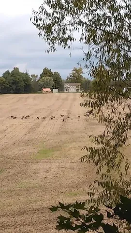 $199,500 | 0 Cr 673 Lawrence Mi 49064, Lawrence, MI 49064