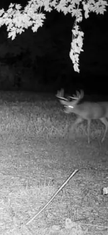 $199,500 | 0 Cr 673 Lawrence Mi 49064, Lawrence, MI 49064