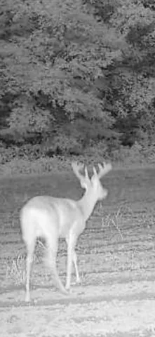 $199,500 | 0 Cr 673 Lawrence Mi 49064, Lawrence, MI 49064