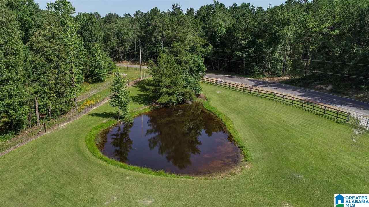 575 County Road 43 Clanton, AL 35046 - Photo 50 of 50