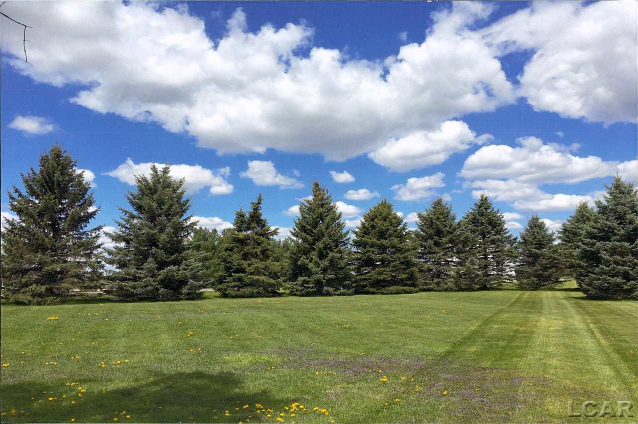 12975 North Ridge Road Milan, MI 48160 - Photo 28 of 37