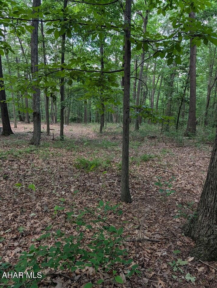 0 Mosquito Hollow Road Six Mile Run, PA 16679 - Photo 25 of 29