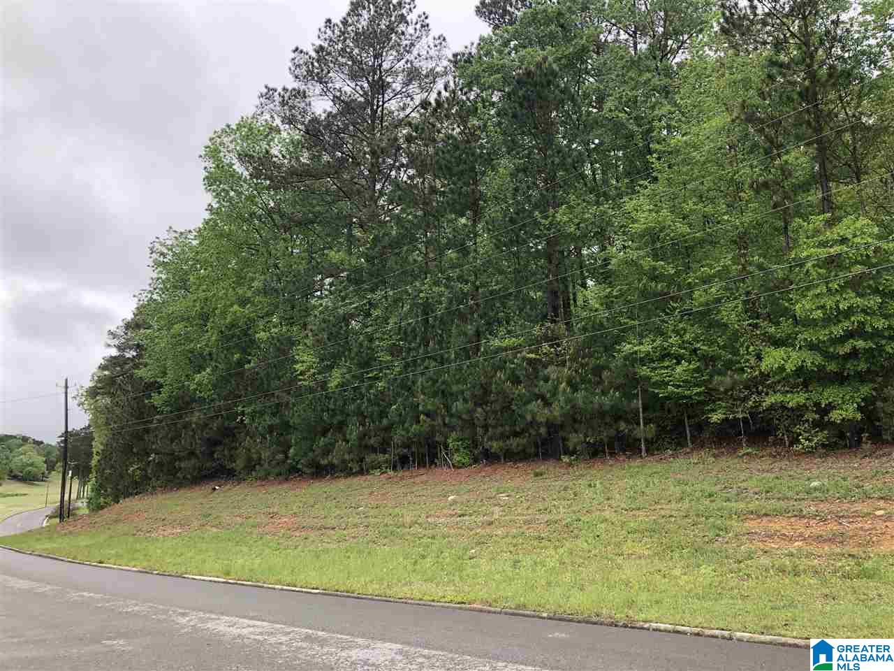 0 Heritage Road, Unit 14 Oneonta, AL 35121 - Photo 2 of 6