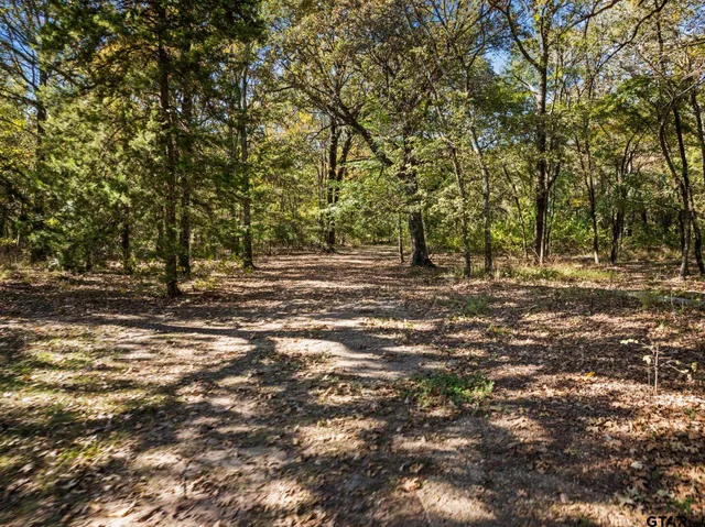 $599,000 | 1227 County Road 3327, Omaha, TX 75571